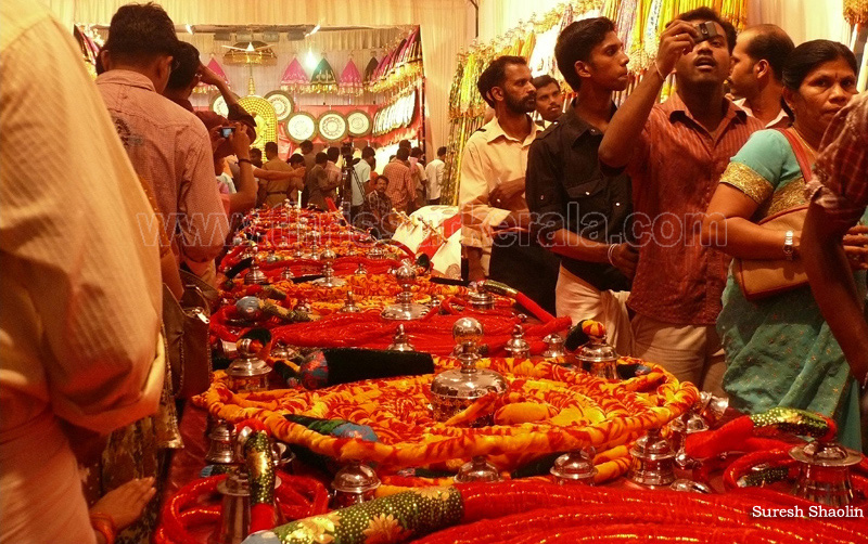 thrissur-pooram-2010 (21)